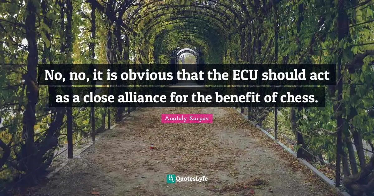 No, no, it is obvious that the ECU should act as a close alliance for the benefit of chess.