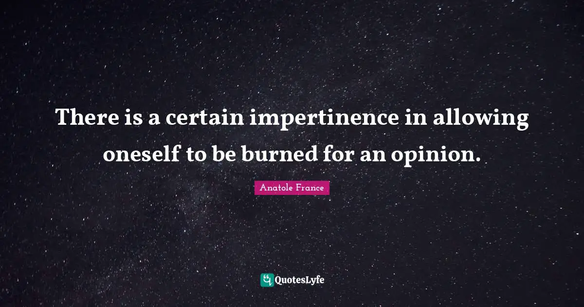 There is a certain impertinence in allowing oneself to be burned for an opinion.