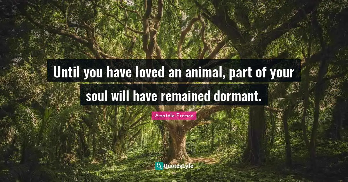 Until you have loved an animal, part of your soul will have remained dormant.