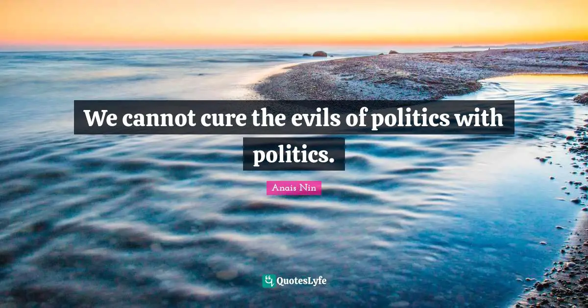 We cannot cure the evils of politics with politics.