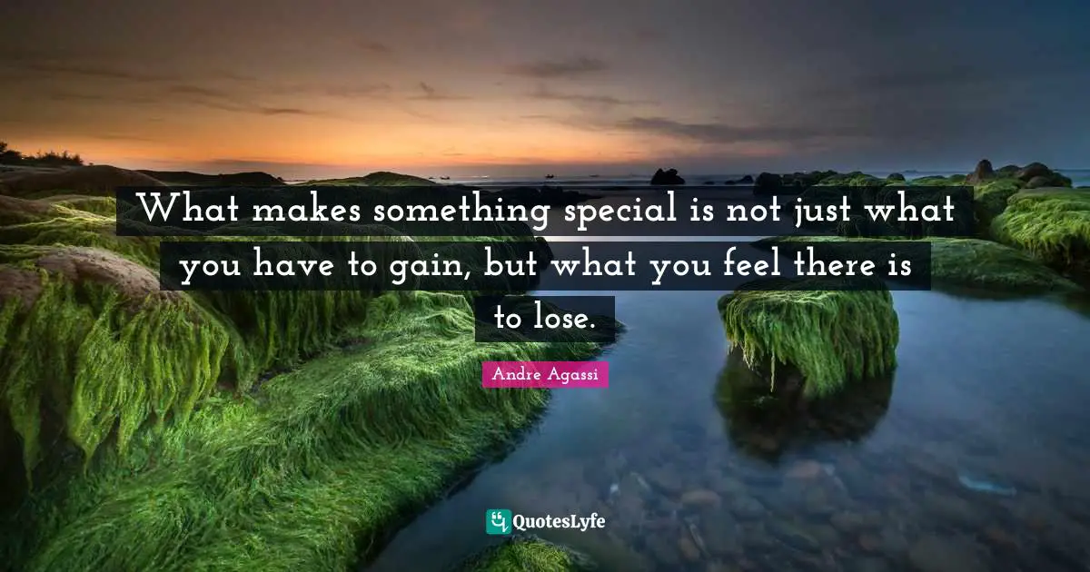 Andre Agassi Quotes: "What makes something special is not just what you have to gain, but what you feel there is to lose."