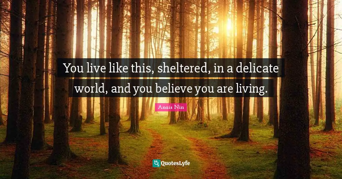 Picnics Quotes: "You live like this, sheltered, in a delicate world, and you believe you are living."