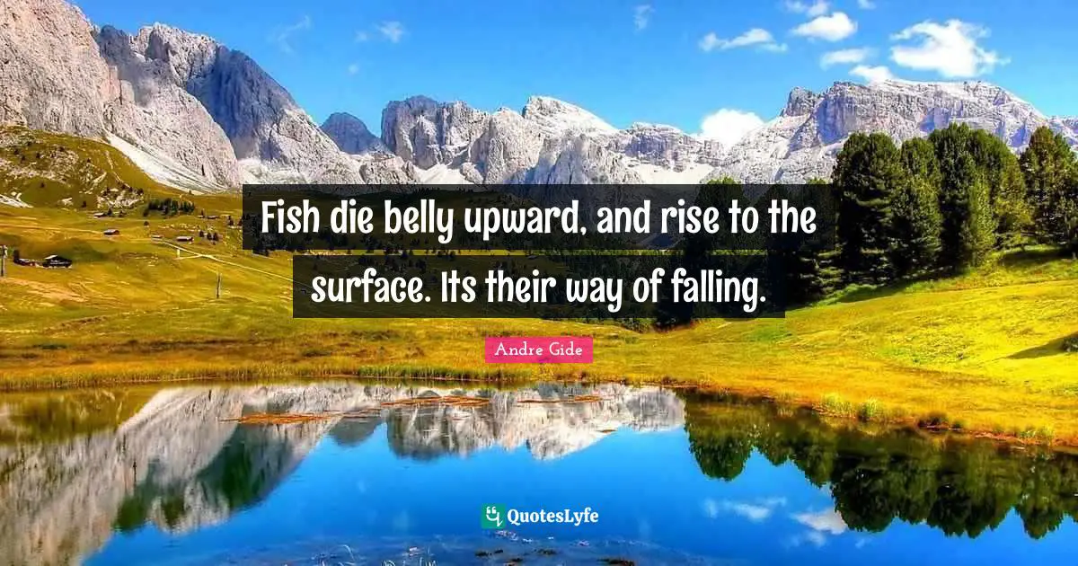 Fish die belly upward, and rise to the surface. Its their way of falling.