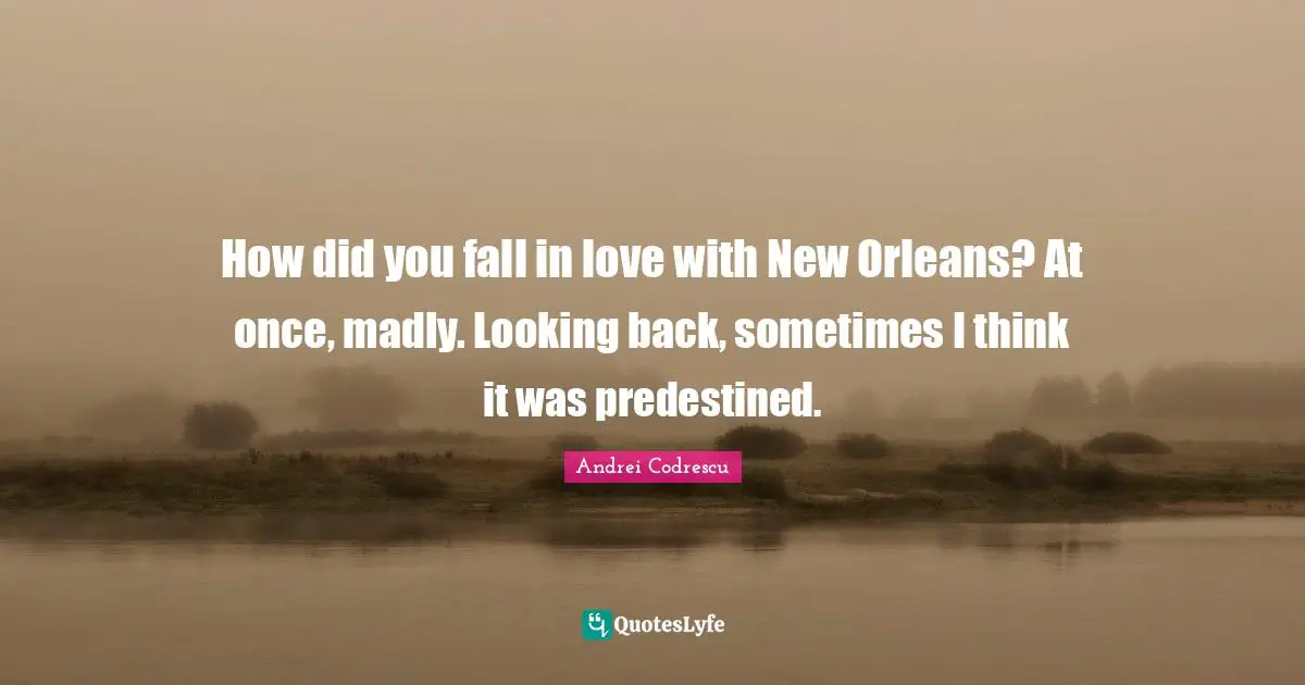 How did you fall in love with New Orleans? At once, madly. Looking back, sometimes I think it was predestined.