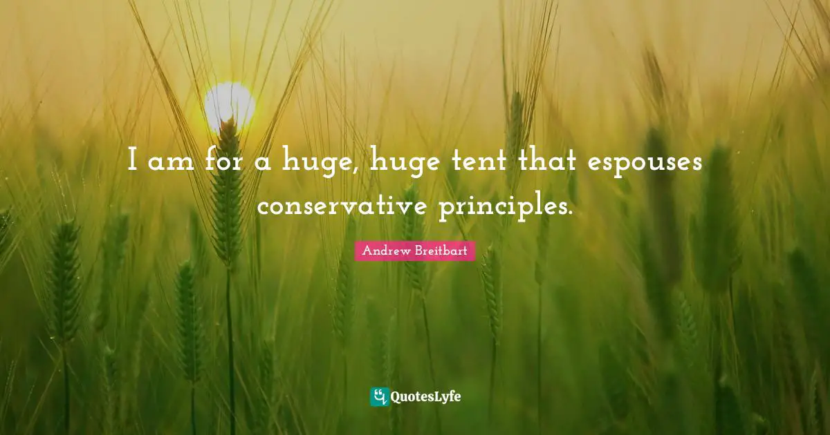 I am for a huge, huge tent that espouses conservative principles.