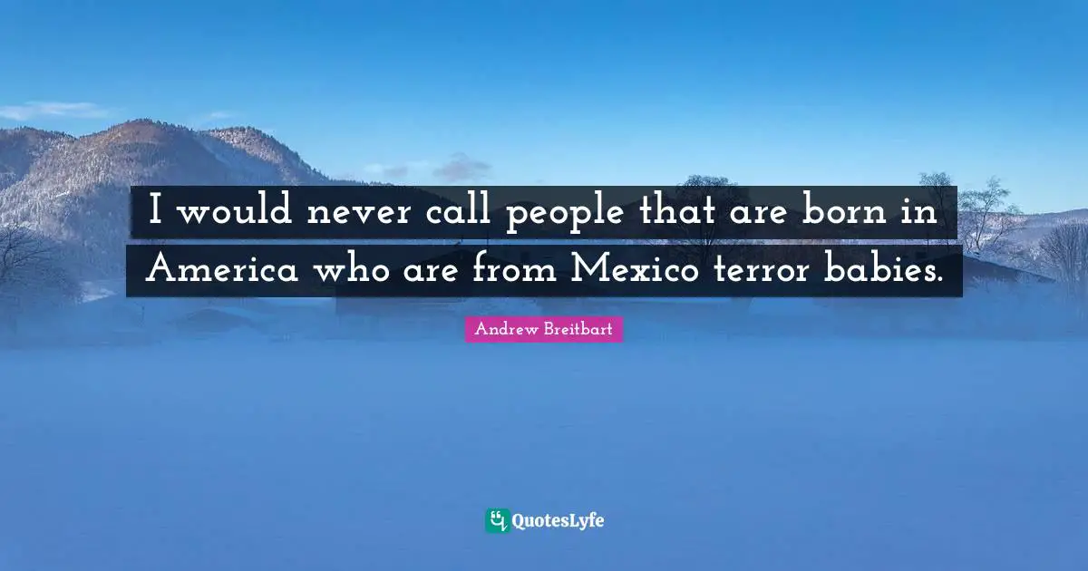I would never call people that are born in America who are from Mexico terror babies.