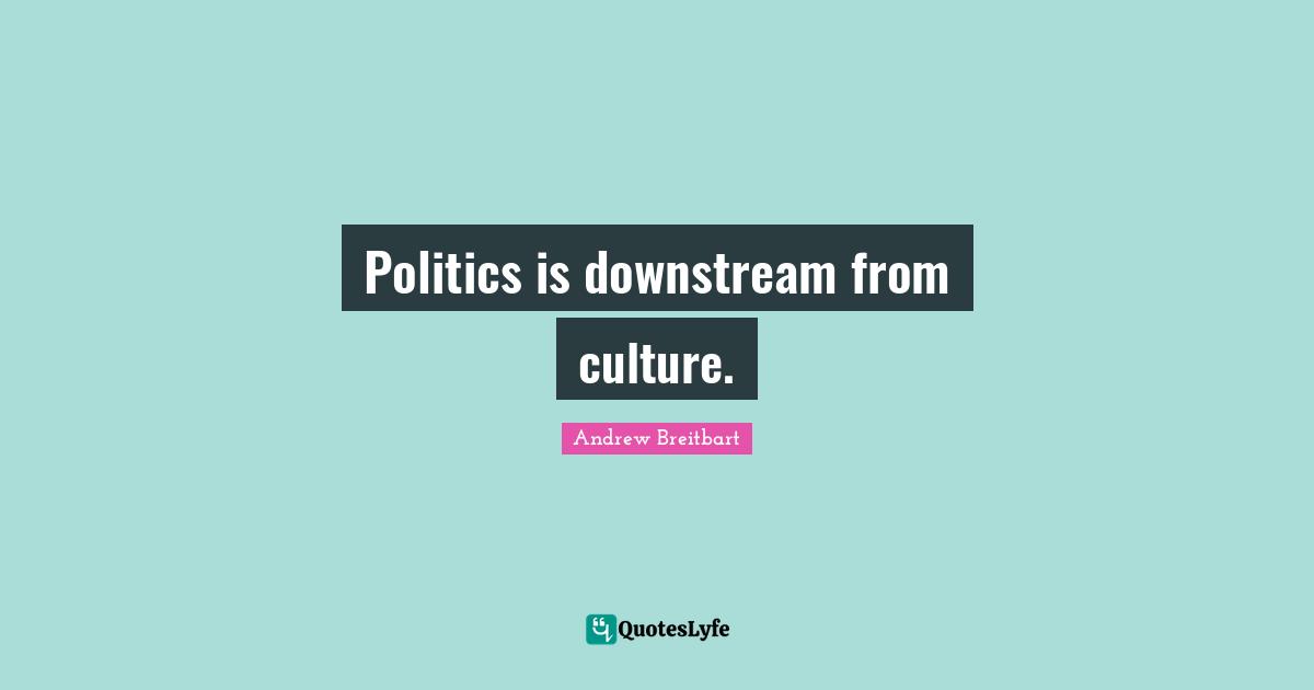 Politics is downstream from culture.