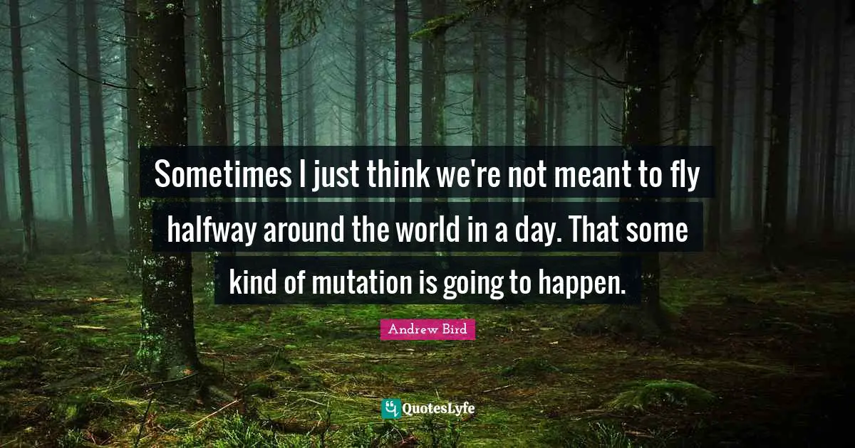 Sometimes I just think we're not meant to fly halfway around the world in a day. That some kind of mutation is going to happen.
