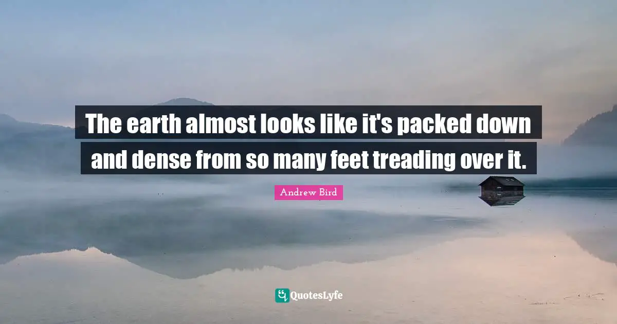 Treading Quotes: "The earth almost looks like it's packed down and dense from so many feet treading over it."