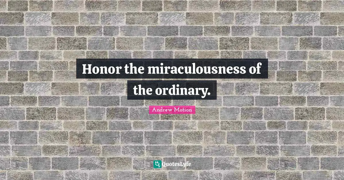 Honor the miraculousness of the ordinary.