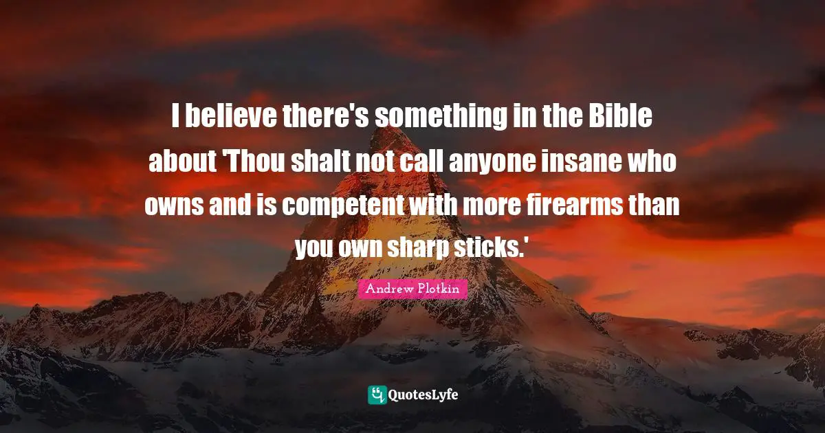 I believe there's something in the Bible about 'Thou shalt not call anyone insane who owns and is competent with more firearms than you own sharp sticks.'