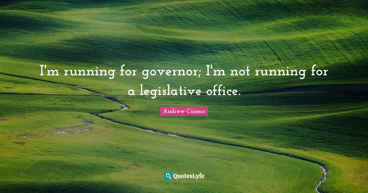 Andrew Cuomo Quotes: "I'm running for governor; I'm not running for a legislative office."