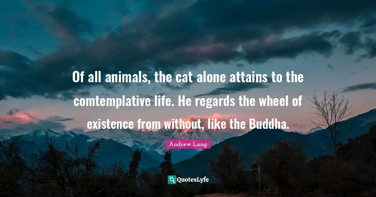 Of all animals, the cat alone attains to the comtemplative life. He regards the wheel of existence from without, like the Buddha.