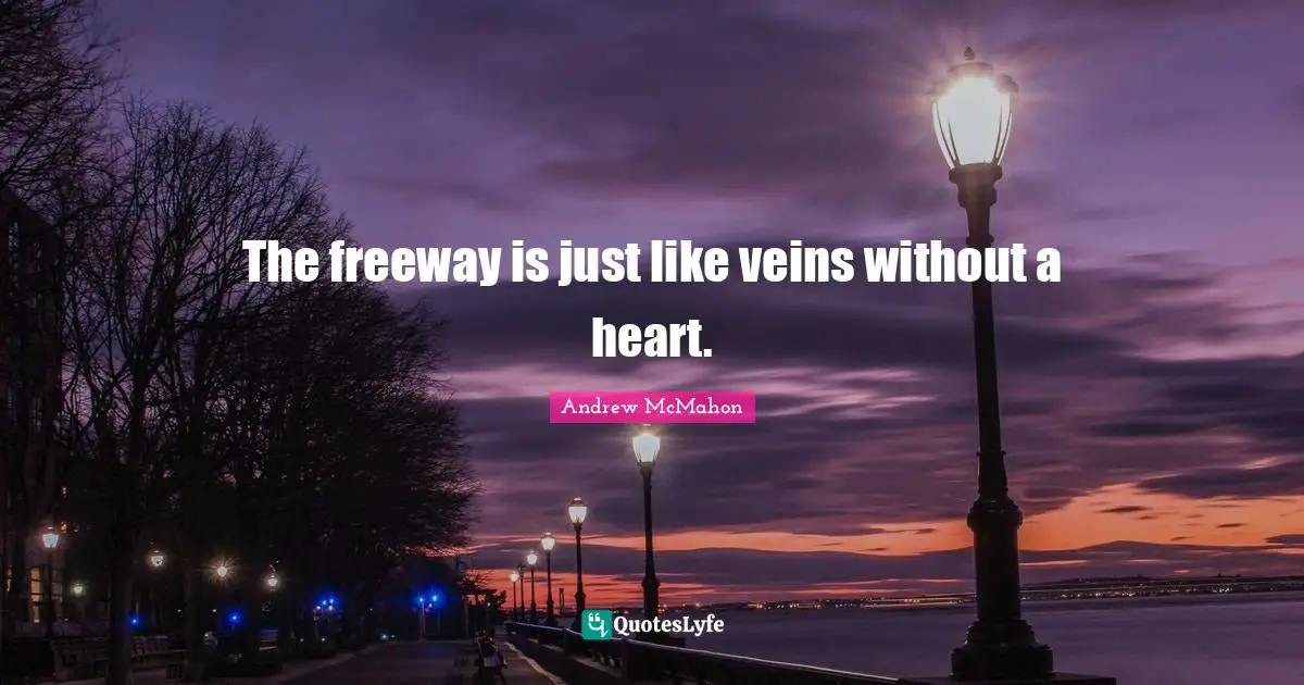 The freeway is just like veins without a heart.