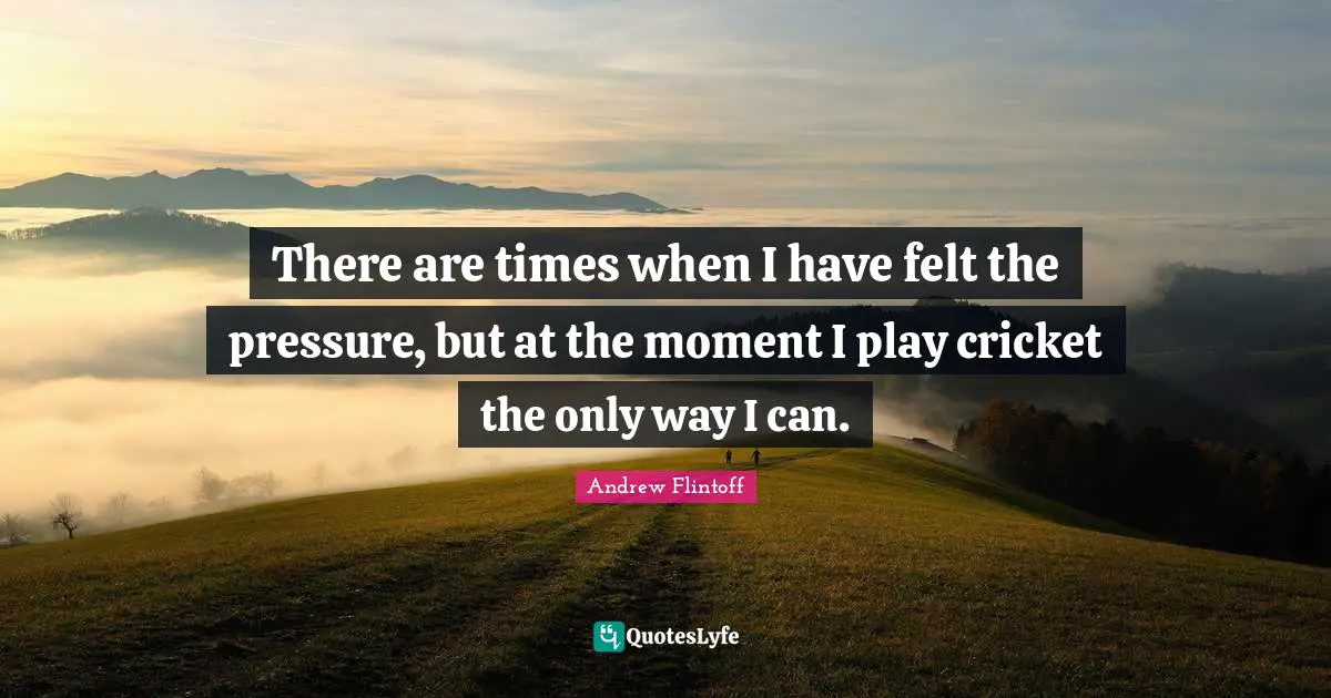 There are times when I have felt the pressure, but at the moment I play cricket the only way I can.