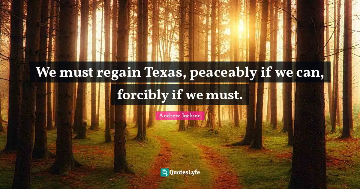 We must regain Texas, peaceably if we can, forcibly if we must.