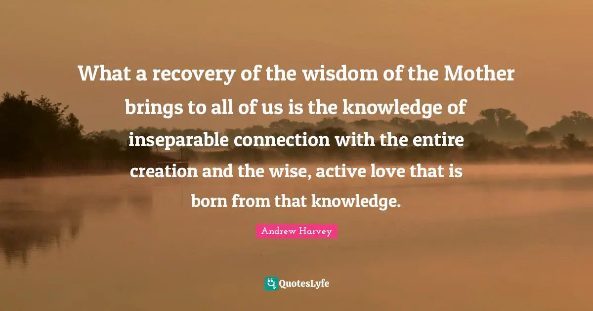 Andrew Harvey Quotes: What a recovery of the wisdom of the Mother brings to all of us is the knowledge of inseparable connection with the entire creation and the wise, active love that is born from that knowledge.