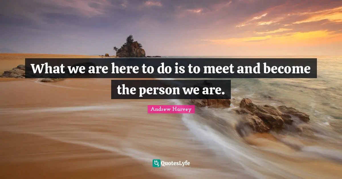 Andrew Harvey Quotes: What we are here to do is to meet and become the person we are.