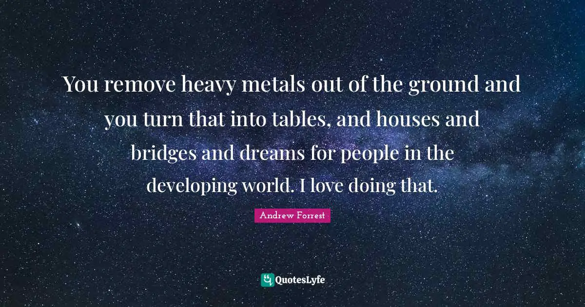 You remove heavy metals out of the ground and you turn that into tables, and houses and bridges and dreams for people in the developing world. I love doing that.