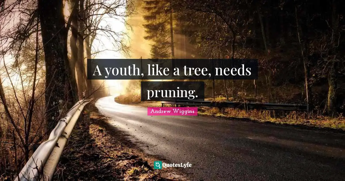 A youth, like a tree, needs pruning.