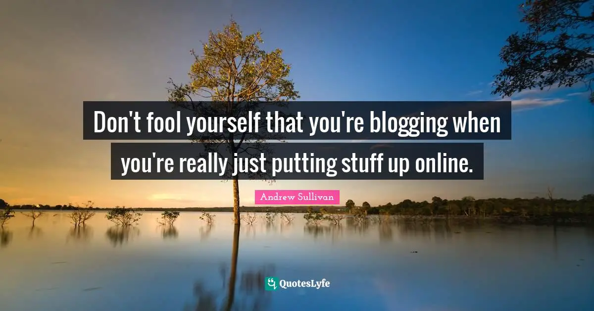 Andrew Sullivan Quotes: Don't fool yourself that you're blogging when you're really just putting stuff up online.