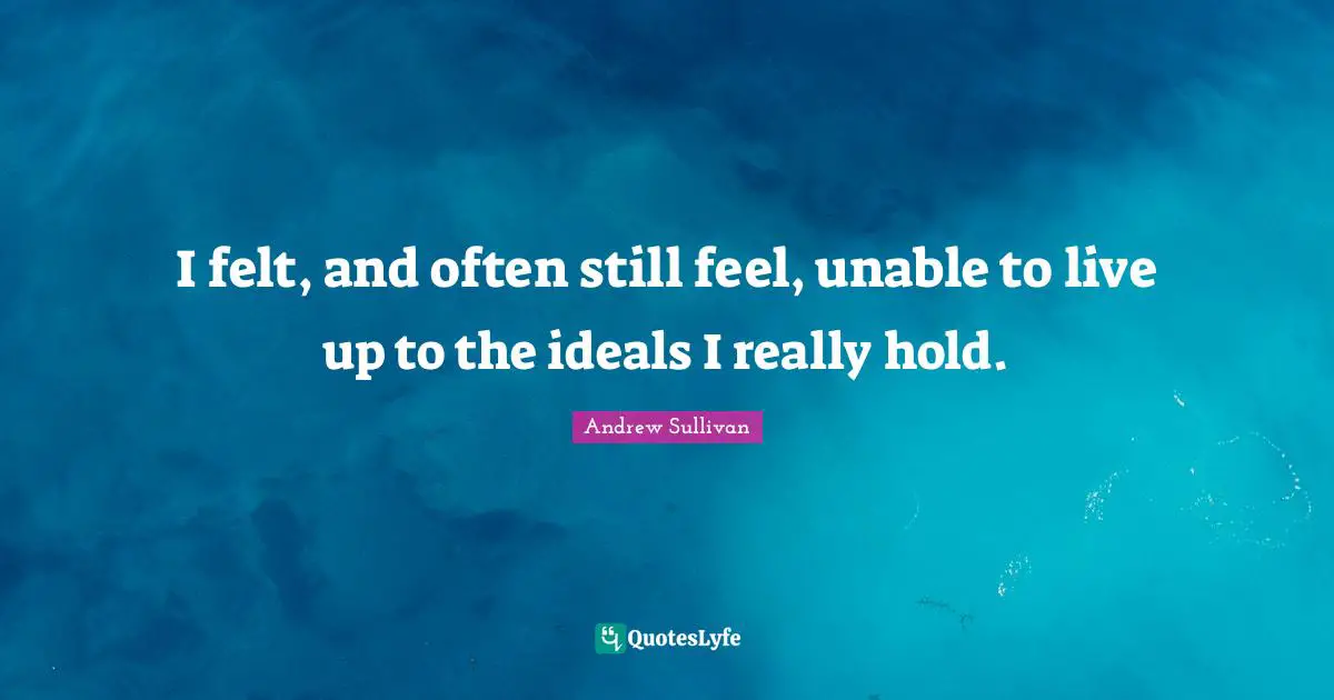 Andrew Sullivan Quotes: I felt, and often still feel, unable to live up to the ideals I really hold.
