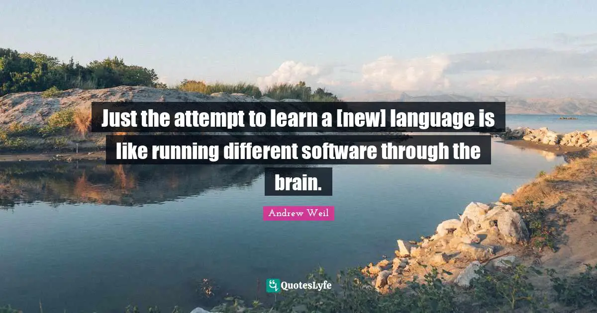 Just the attempt to learn a [new] language is like running different software through the brain.