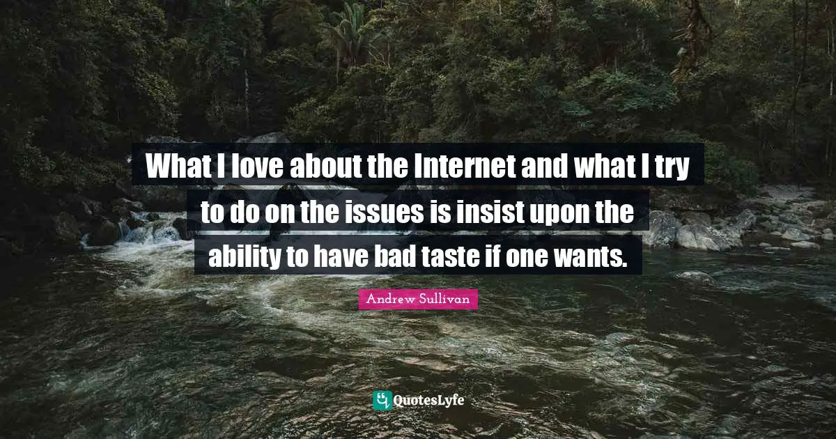 What I love about the Internet and what I try to do on the issues is insist upon the ability to have bad taste if one wants.