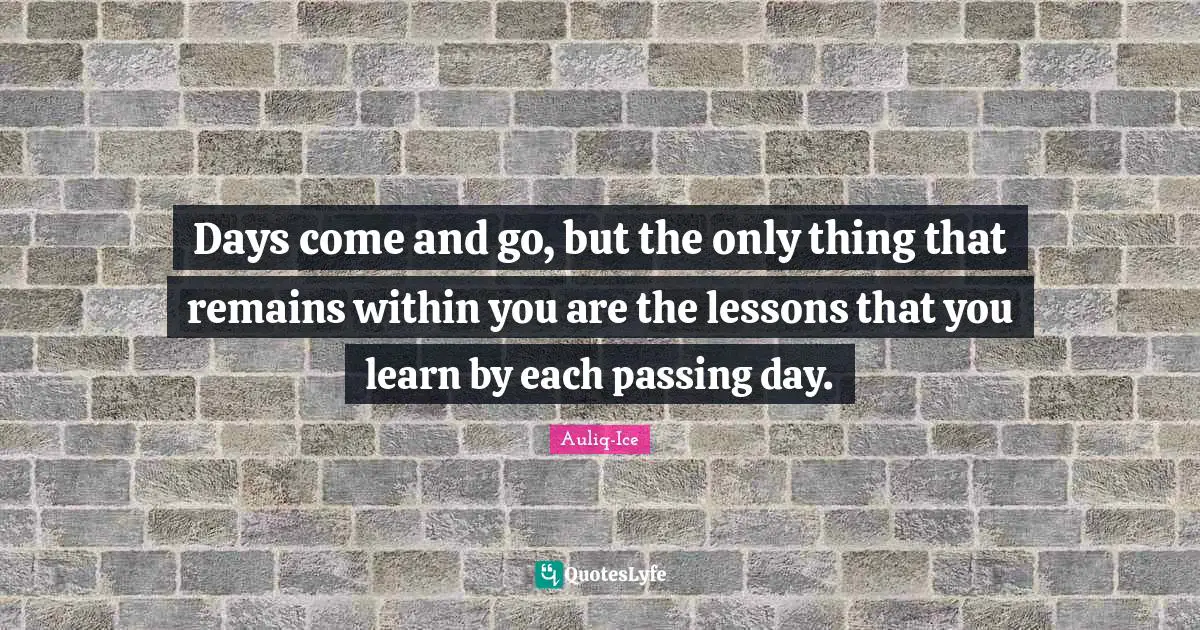 Life Struggles Quotes: "Days come and go, but the only thing that remains within you are the lessons that you learn by each passing day."