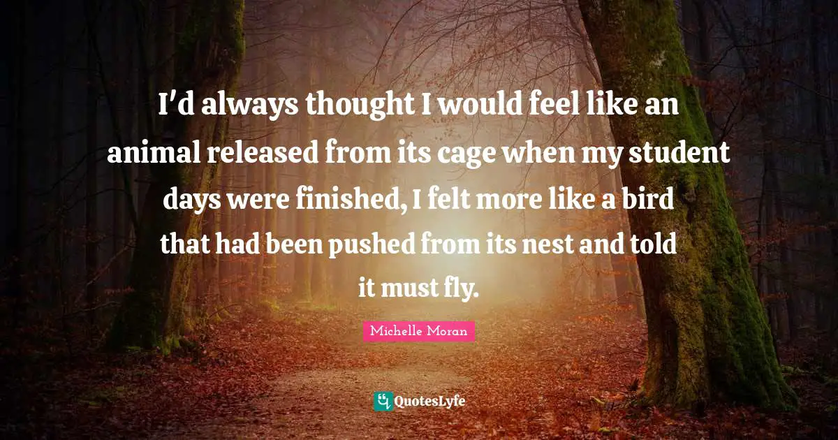 I'd always thought I would feel like an animal released from its cage when my student days were finished, I felt more like a bird that had been pushed from its nest and told it must fly.