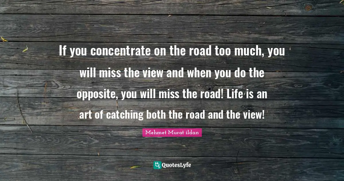 Mehmet Murat ildan Quotes: If you concentrate on the road too much, you will miss the view and when you do the opposite, you will miss the road! Life is an art of catching both the road and the view!