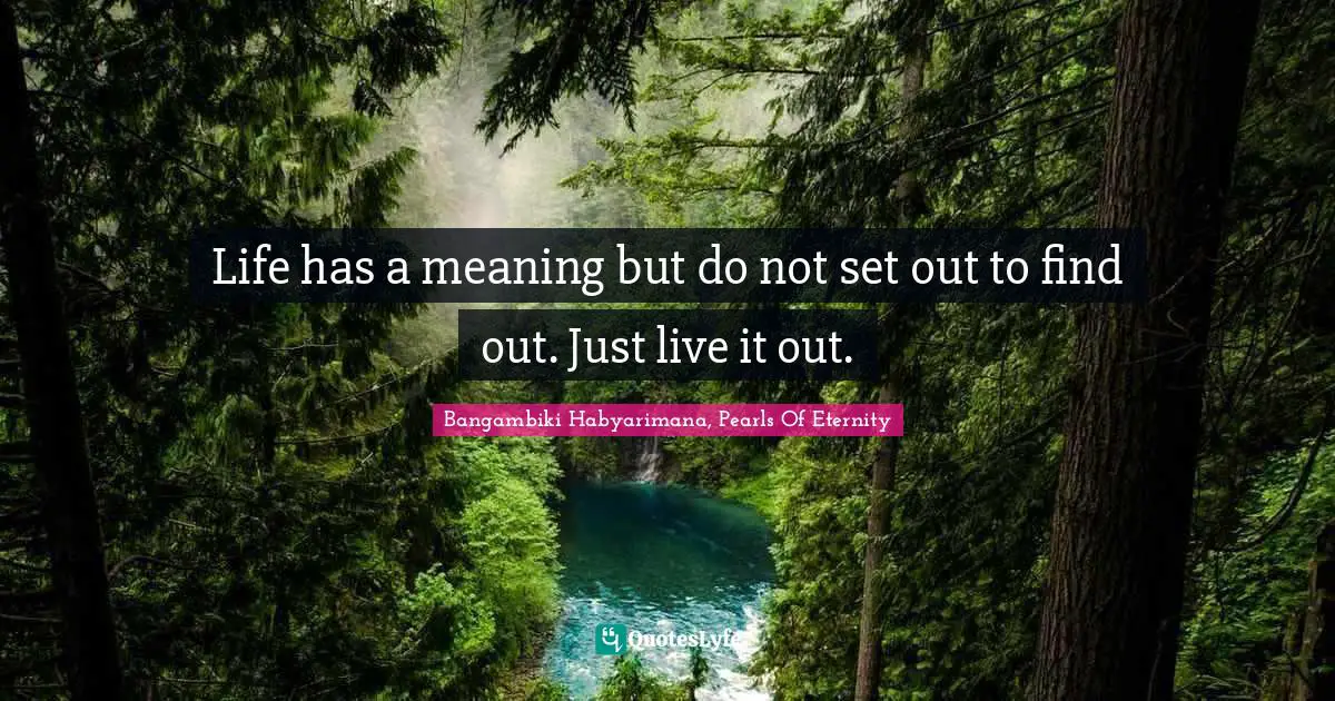 Bangambiki Habyarimana, Pearls Of Eternity Quotes: Life has a meaning but do not set out to find out. Just live it out.