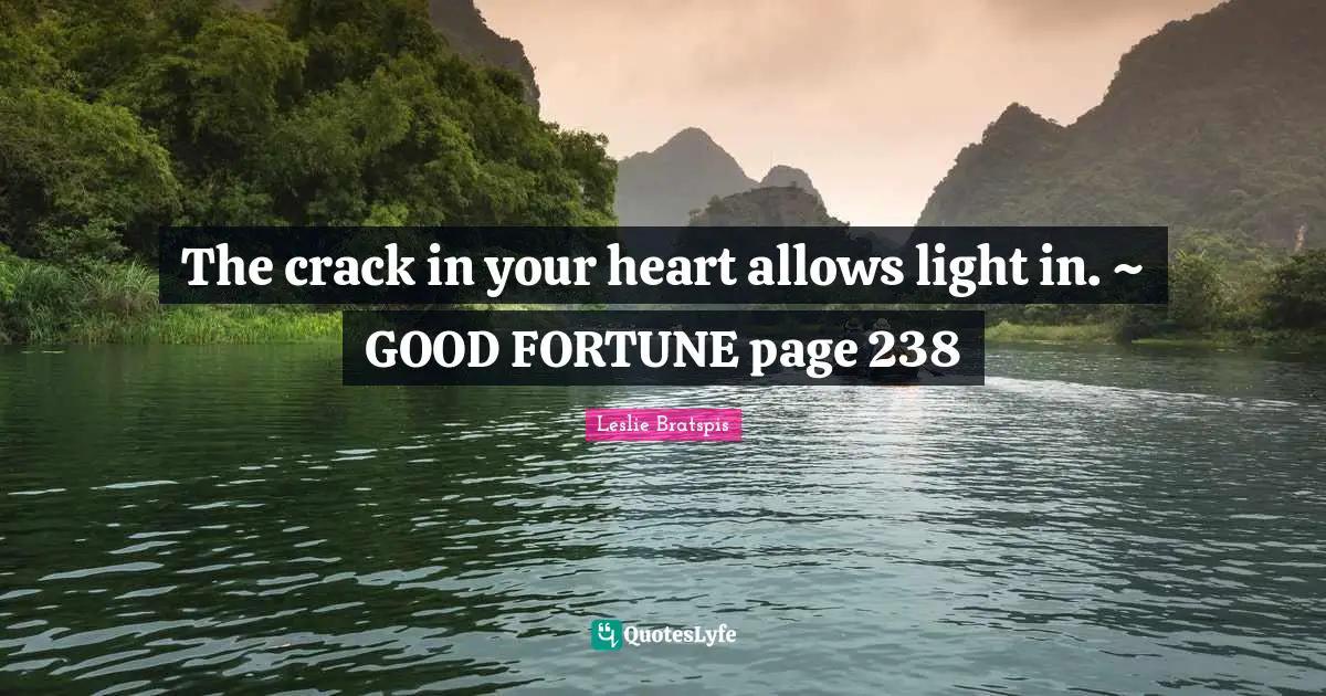 The crack in your heart allows light in. ~ GOOD FORTUNE page 238