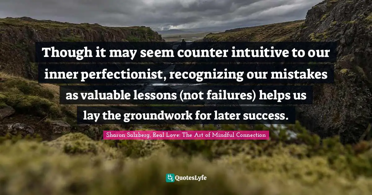 Though it may seem counter intuitive to our inner perfectionist, recognizing our mistakes as valuable lessons (not failures) helps us lay the groundwork for later success.