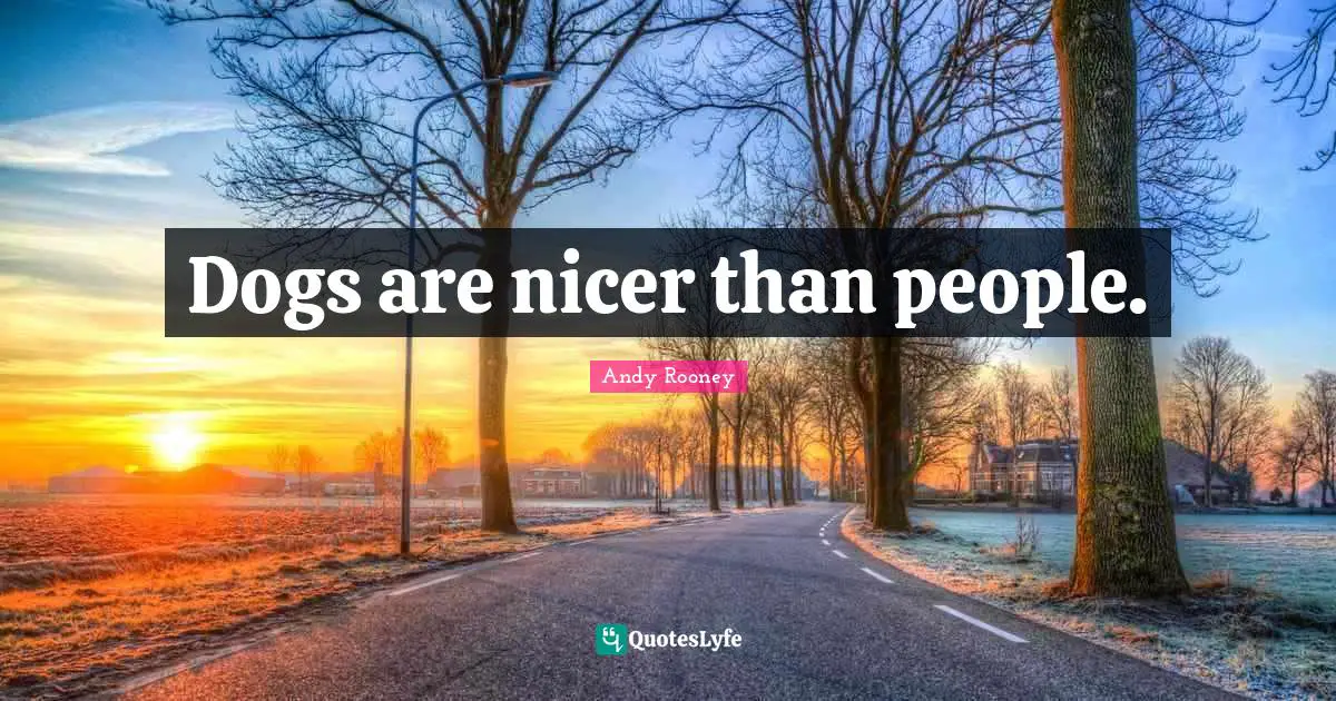 Dogs are nicer than people.