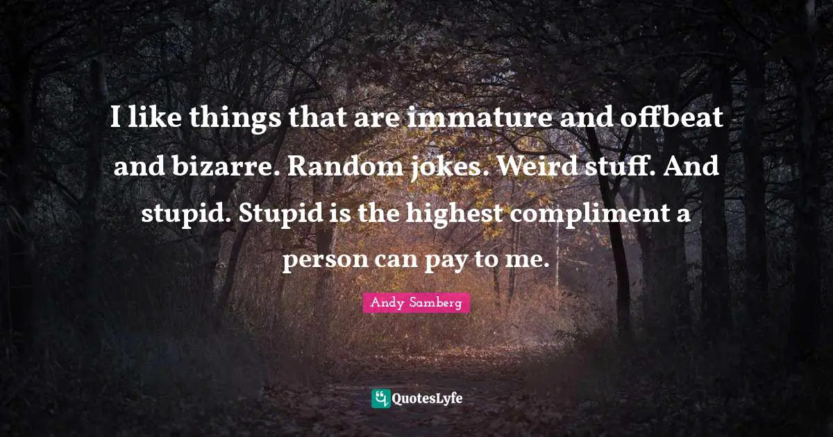 Andy Samberg Quotes: I like things that are immature and offbeat and bizarre. Random jokes. Weird stuff. And stupid. Stupid is the highest compliment a person can pay to me.