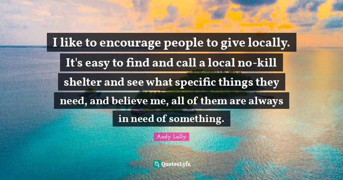 I like to encourage people to give locally. It's easy to find and call a local no-kill shelter and see what specific things they need, and believe me, all of them are always in need of something.