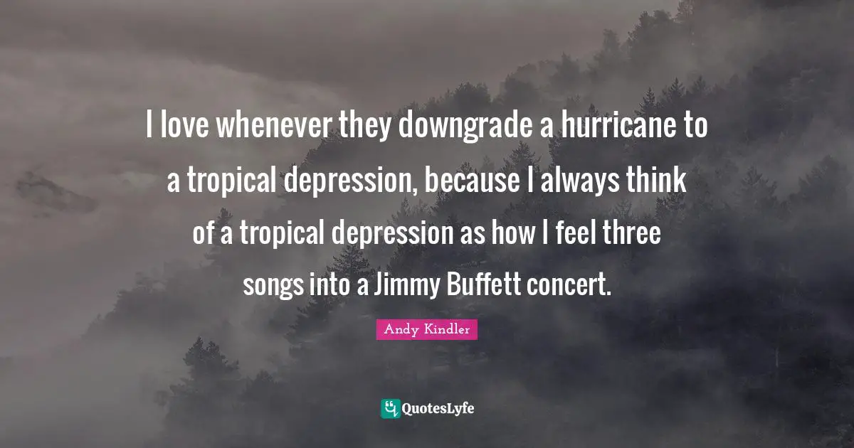 I love whenever they downgrade a hurricane to a tropical depression, because I always think of a tropical depression as how I feel three songs into a Jimmy Buffett concert.