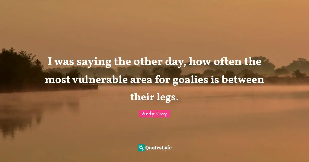 Andy Gray Quotes: "I was saying the other day, how often the most vulnerable area for goalies is between their legs."