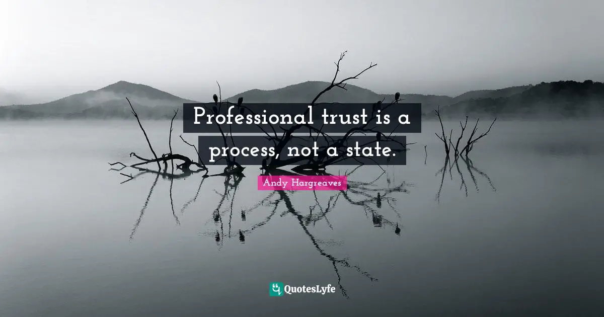 Professional trust is a process, not a state.