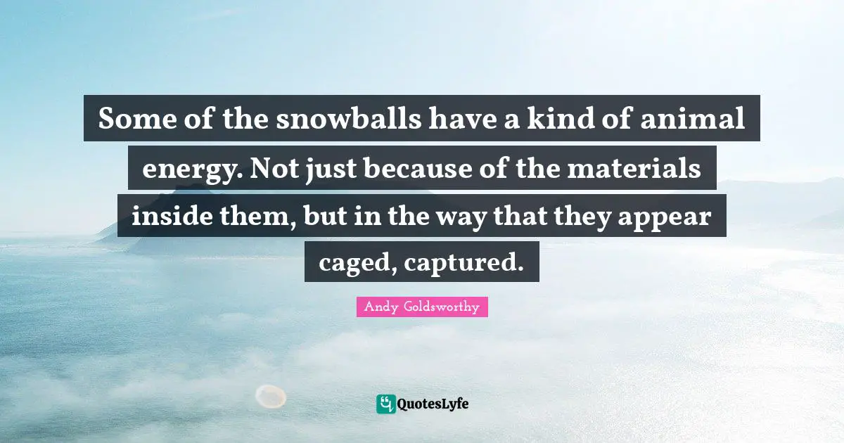Caged Quotes: "Some of the snowballs have a kind of animal energy. Not just because of the materials inside them, but in the way that they appear caged, captured."