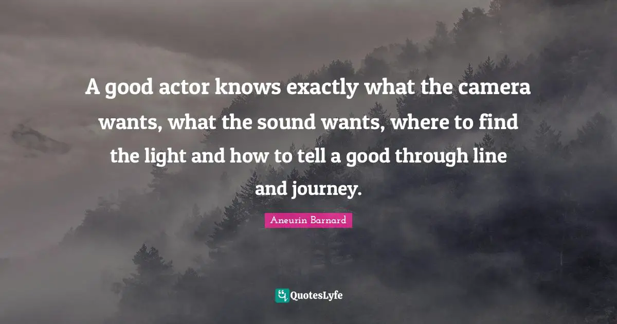 A good actor knows exactly what the camera wants, what the sound wants, where to find the light and how to tell a good through line and journey.