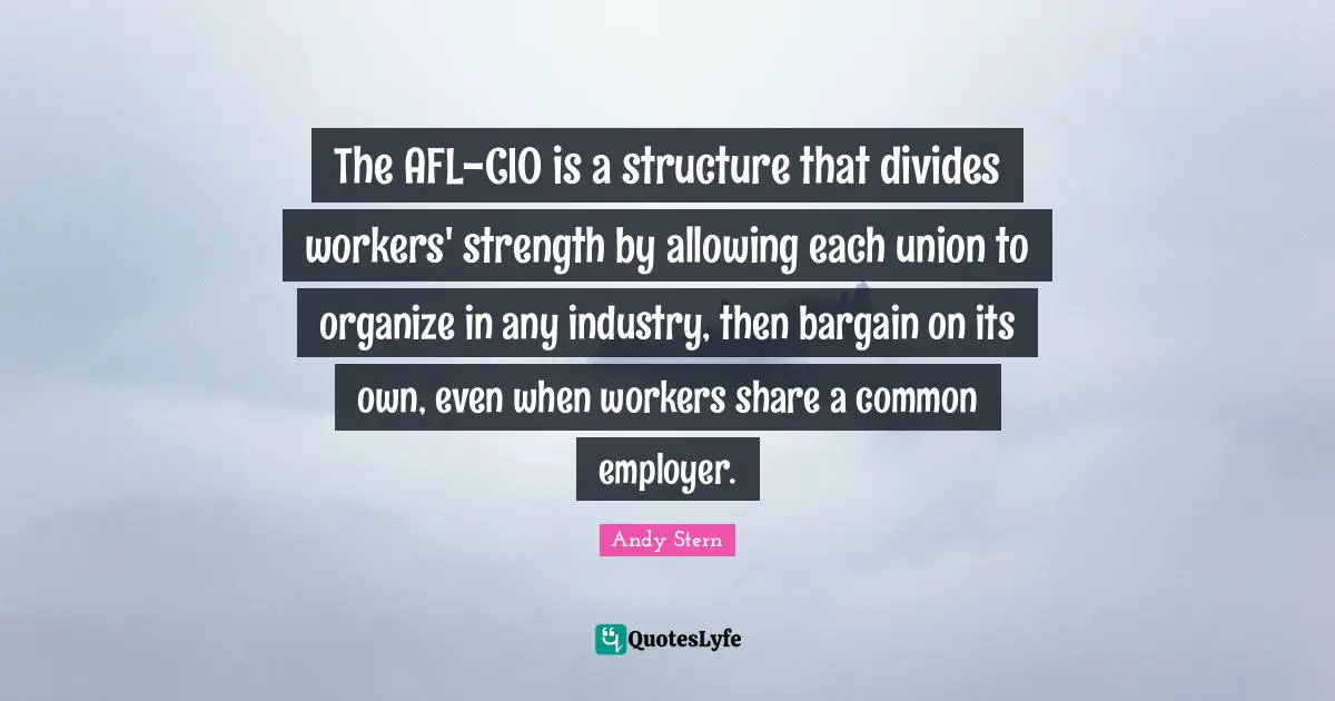 The AFL-CIO is a structure that divides workers' strength by allowing each union to organize in any industry, then bargain on its own, even when workers share a common employer.
