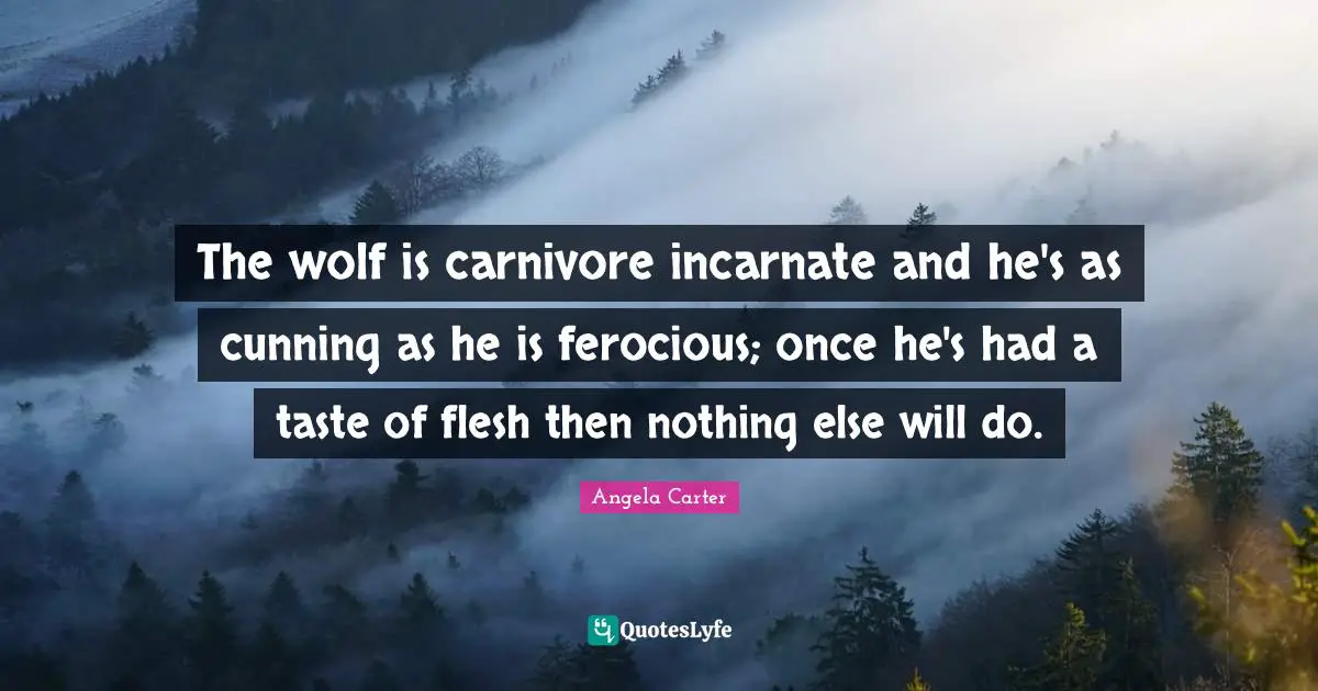 The wolf is carnivore incarnate and he's as cunning as he is ferocious; once he's had a taste of flesh then nothing else will do.