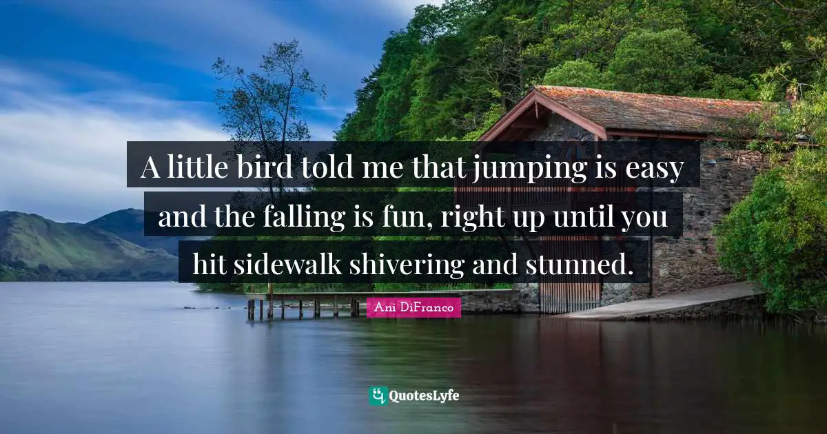 A little bird told me that jumping is easy and the falling is fun, right up until you hit sidewalk shivering and stunned.