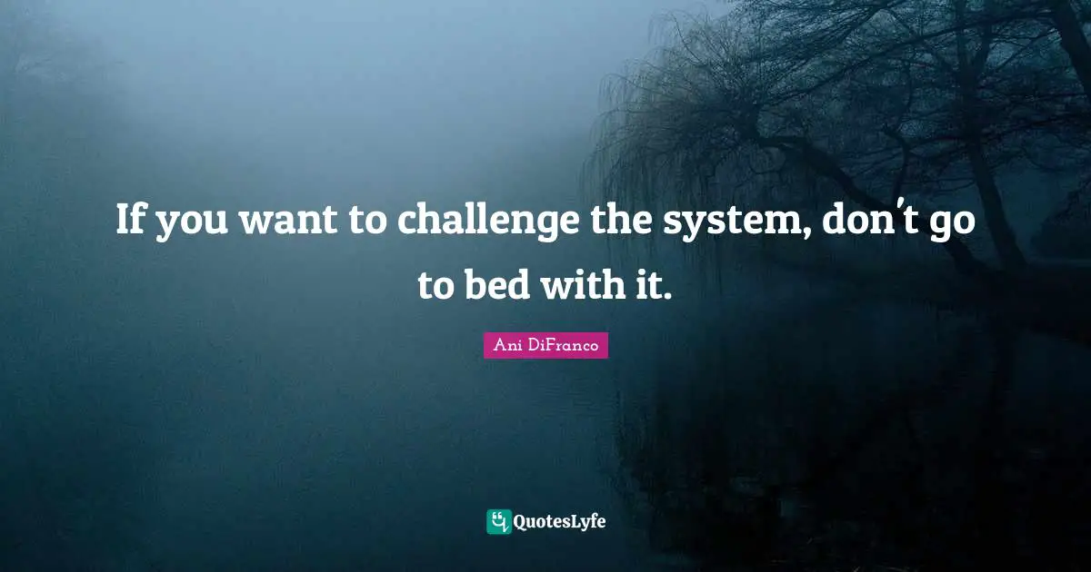 If you want to challenge the system, don't go to bed with it.