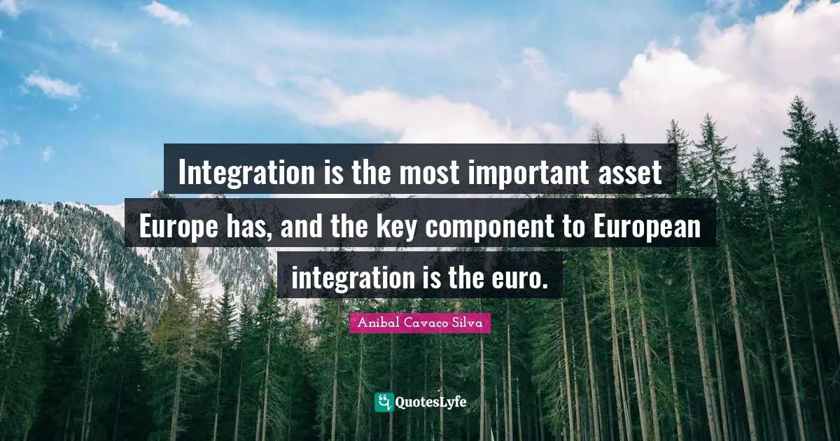 Integration is the most important asset Europe has, and the key component to European integration is the euro.