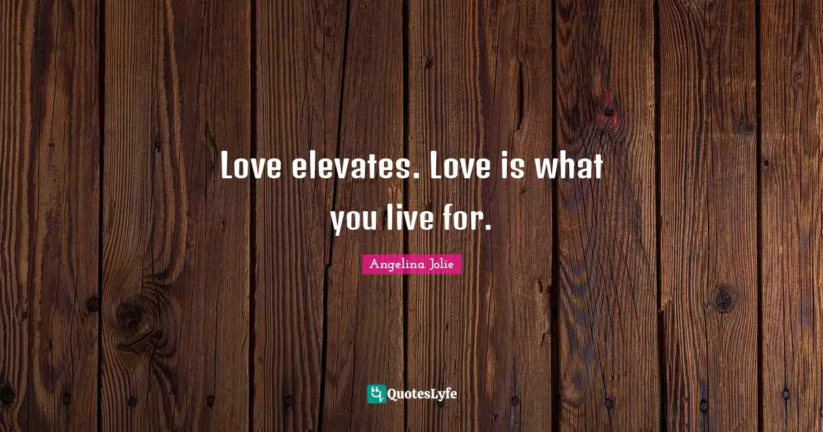 Love elevates. Love is what you live for.