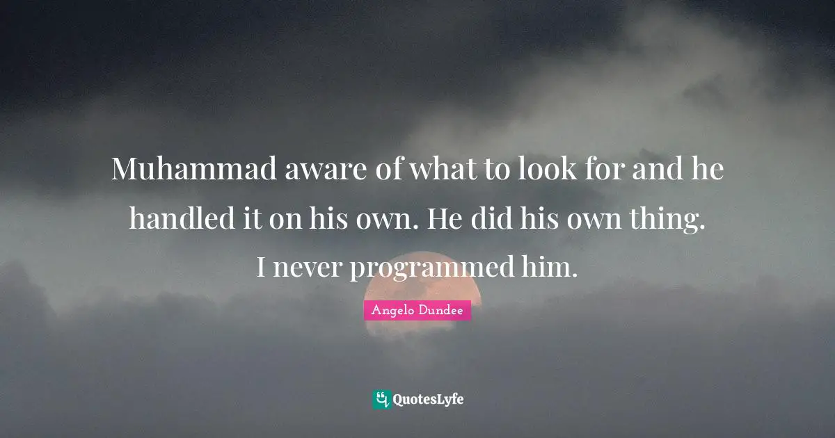 Angelo Dundee Quotes: "Muhammad aware of what to look for and he handled it on his own. He did his own thing. I never programmed him."