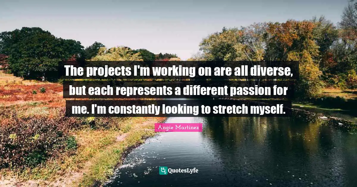 Angie Martinez Quotes: "The projects I'm working on are all diverse, but each represents a different passion for me. I'm constantly looking to stretch myself."